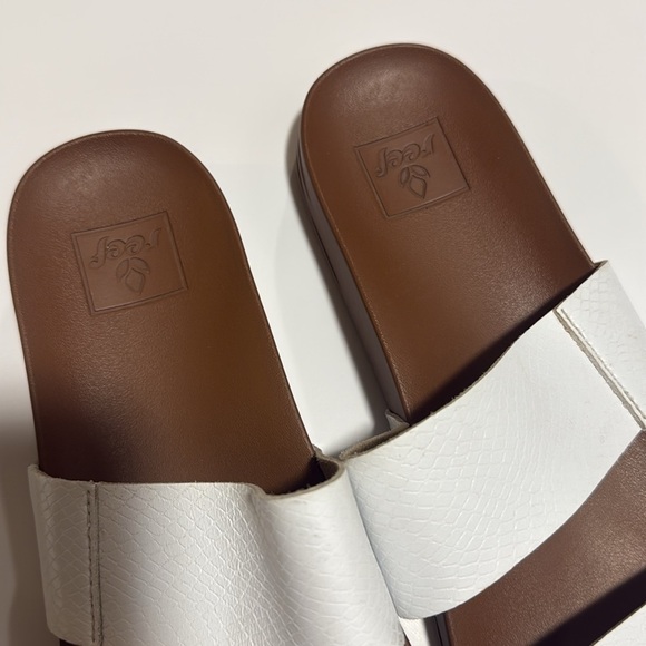 Reef slides - Picture 2 of 5